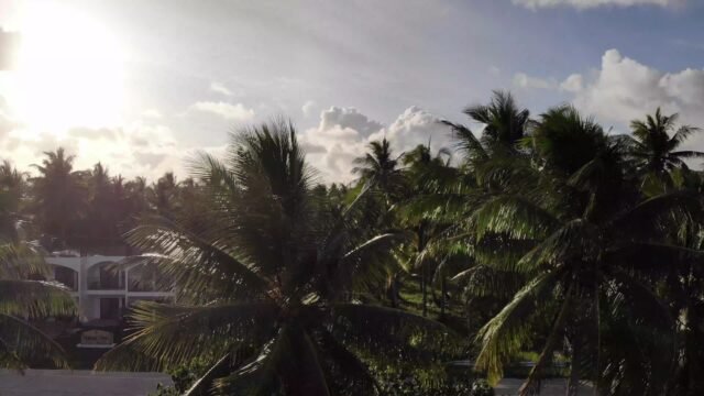 Malinao View Beach Resort