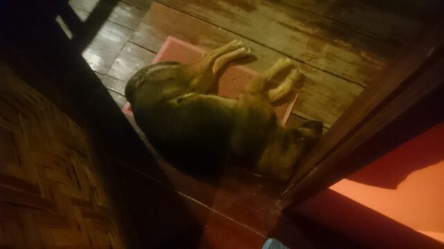 Big 9 Hostel and Bar