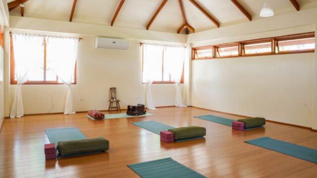 Little Shell Yoga Shala