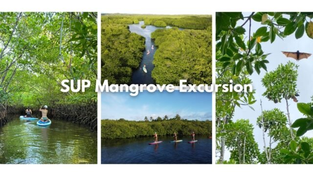 Galatea Tours Siargao