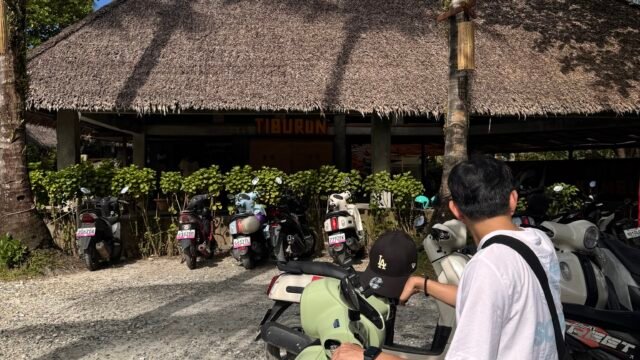 Palm Riders