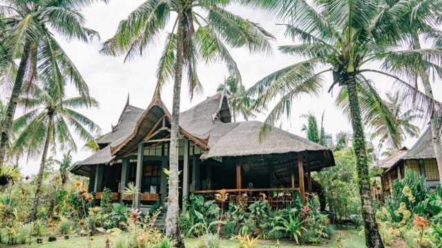 Lotus Shores Yoga and Surf Retreat