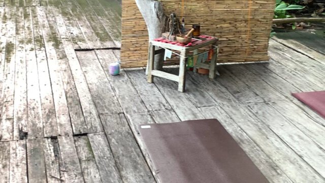 Lotus Shores Yoga and Surf Retreat
