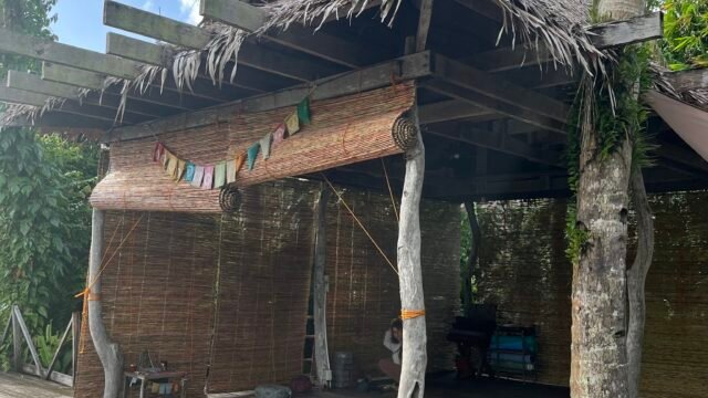 Lotus Shores Yoga and Surf Retreat