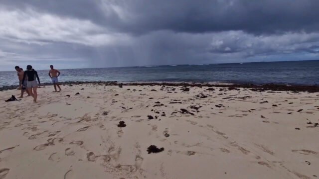 Naked Island