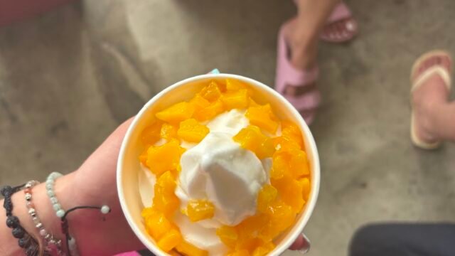 Yogi - Siargao Yogurt House