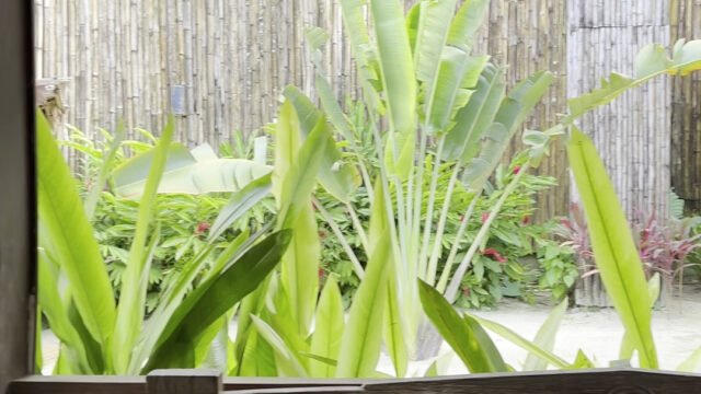 Las Palmas Villas and Casitas