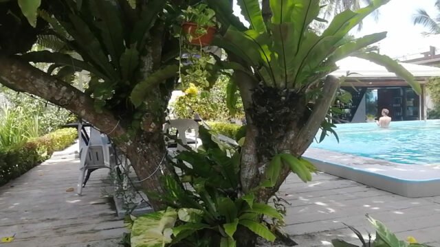 Point 303 Resort